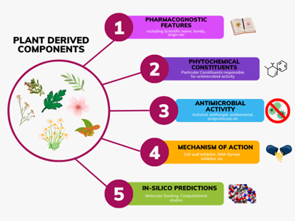 Graphical abstract
